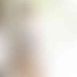 A woman standing in a ball gown looking out to the garden