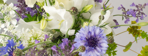 Blue and white wedding flowers