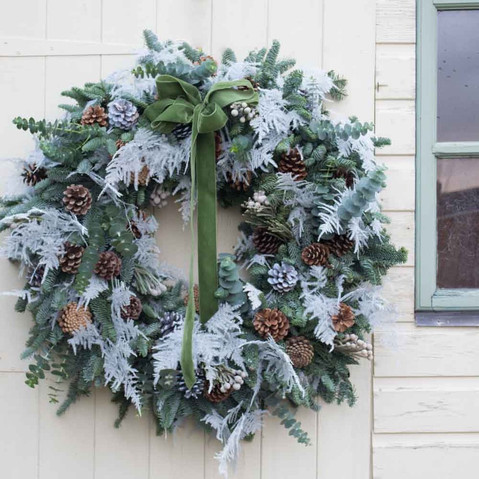 'Snowy alps' eucalyptus, asparagus fern