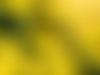 From Cheshire to Chelsea: A Sustainable Journey on the Yellow Brick Road