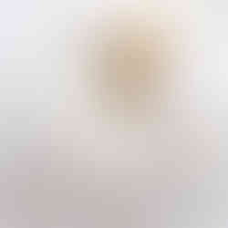 dinner plates with a nakin and a rose placed on a handmade gold holder by Jacqui O