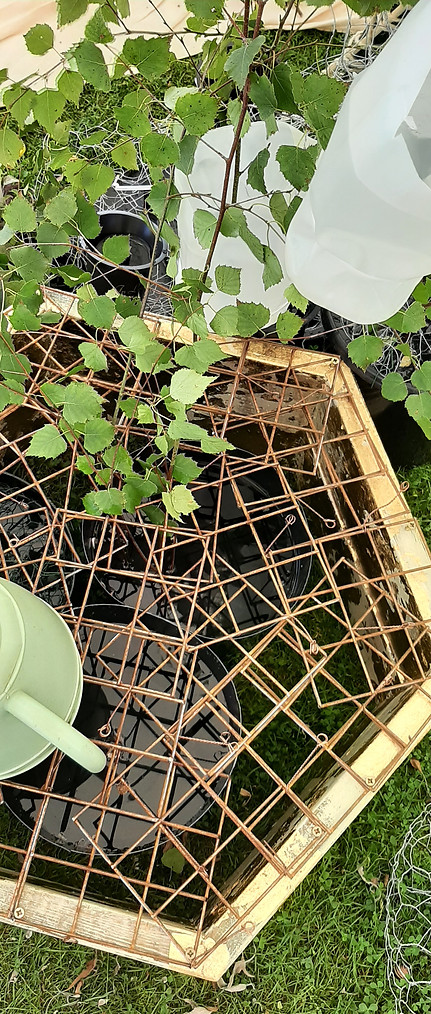 RHS installation 2022