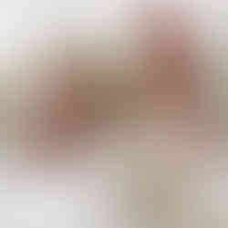 A bride and groom who just got married in ceremony at Combermere Abbey behind them is a broken arch of dahlias, zinnia and hydrangea in pinks and oranges with a touch of yellow created by Jacqui O