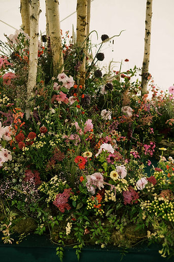 JacquiO RHS British Cheshire Grown wedding flowers