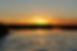 DSC05543.JPG