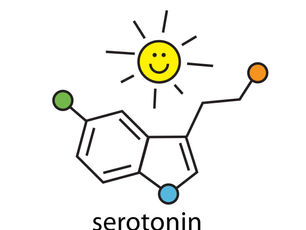 Serotonin: The Happy Chemical