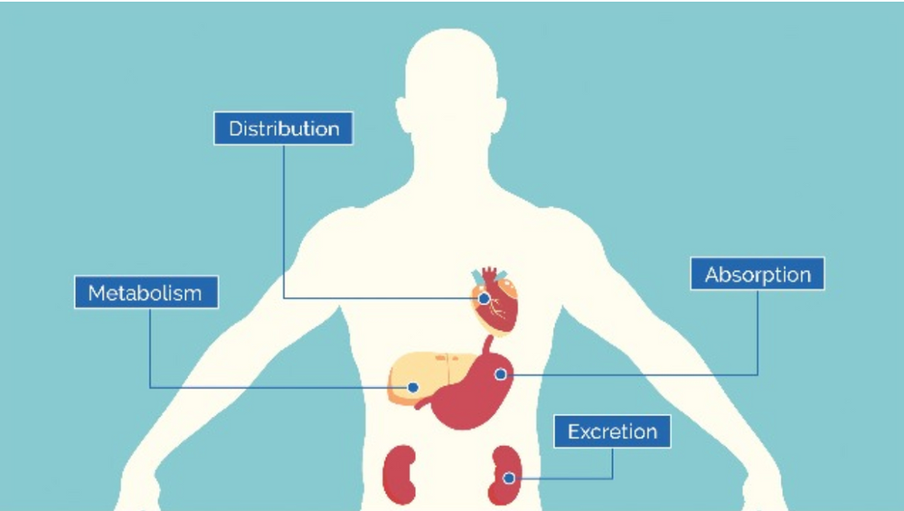 Clinical & Pharmacodynamics
