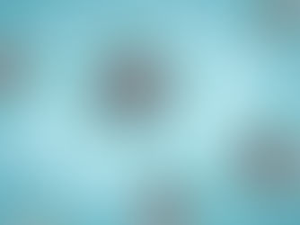 How Our Immune System Fights COVID-19