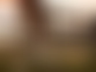 Socially-Distanced Fun!