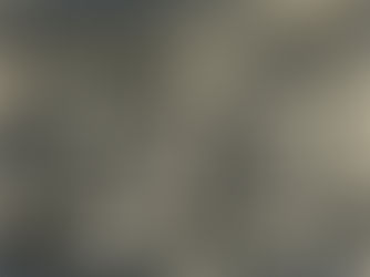 The History of Various Pandemics