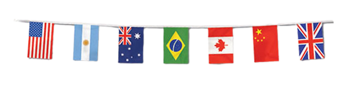 F1.png