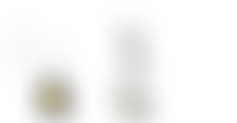 Welcome to My Academy, Bee Academy.