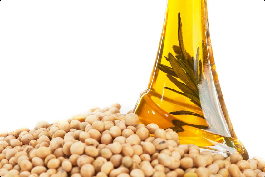 Crude & Refined Soybean Oil