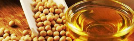 Crude & Refined Soybean Oil