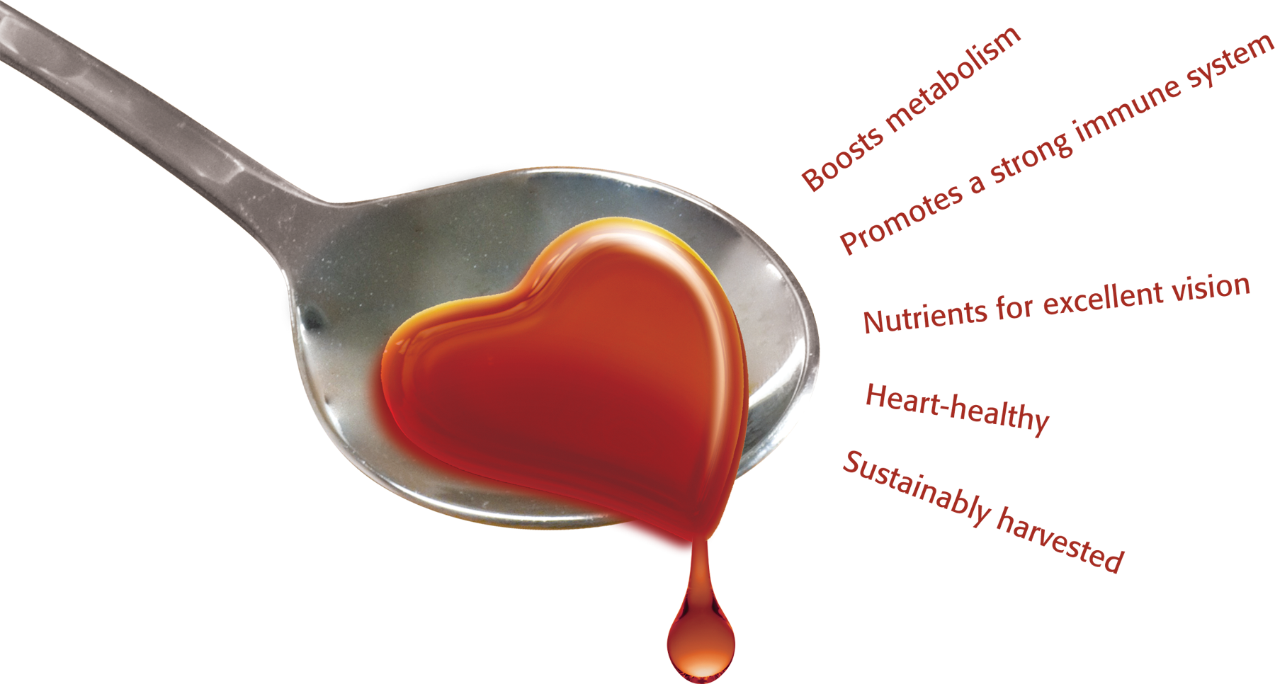 Palm Oil Crude & Refined
