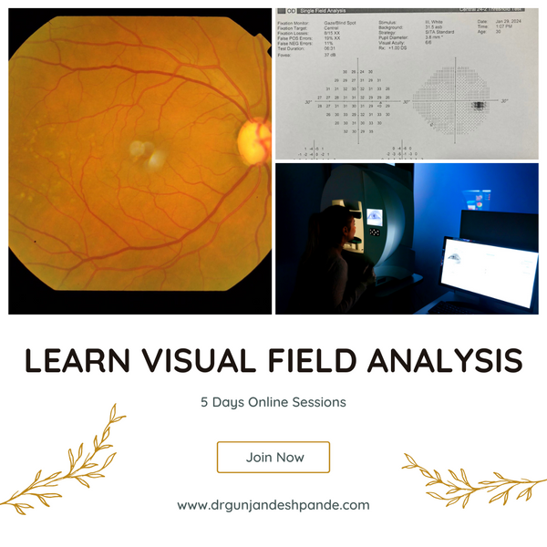glaucoma, visual field, eye