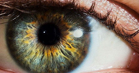 eyeFacts-146599805-770x533-1_edited.jpg