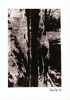 tree profile.jpg