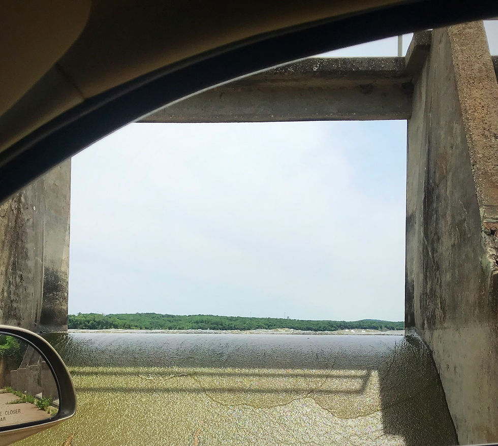 Randell Lake - Monarda Population