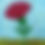 Thumbnail: Magnets - Flowers