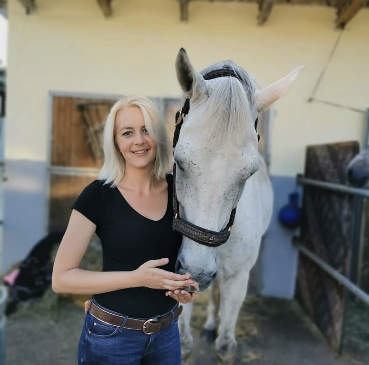 Autorenbild: AnimalMotionAcademy