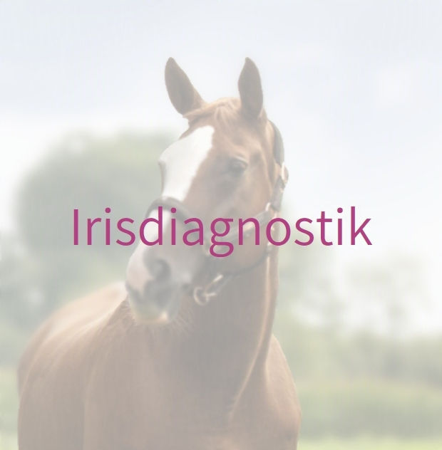 Irisdiagnostik