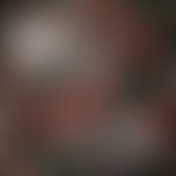 Öppettider Jul & Nyår