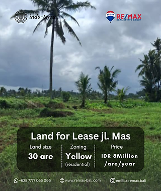 land for sell in jl. mas ubud bali