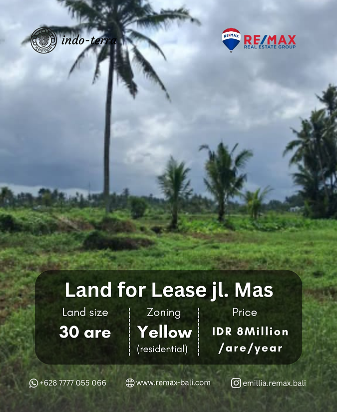 land for sell in jl. mas ubud bali
