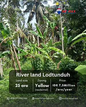 land with river sell in lodtunduh ubud