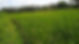 pejeng ubud land for sale