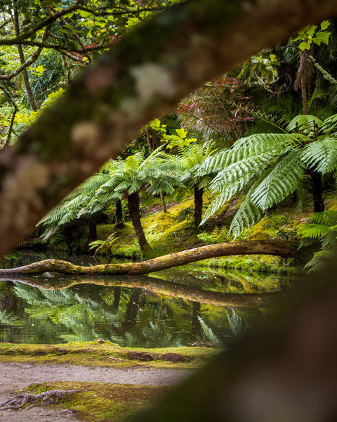 São Miguel, Azores Travel Package