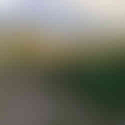 Land For Sale in Ginetes, Ponta Delgada