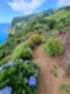 Azores Group