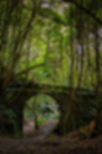 São Miguel Island Tour