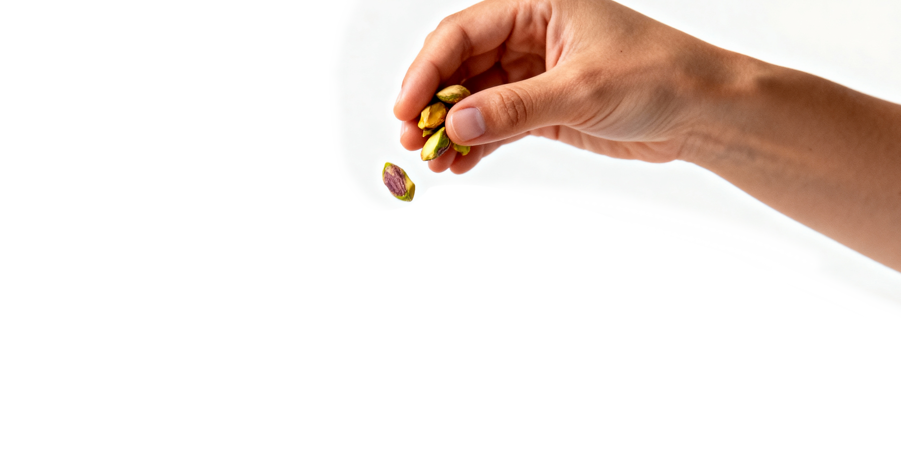 freepik__high-resolution-photo-for-chocolate-ice-cream-scoo__80774 copy.png