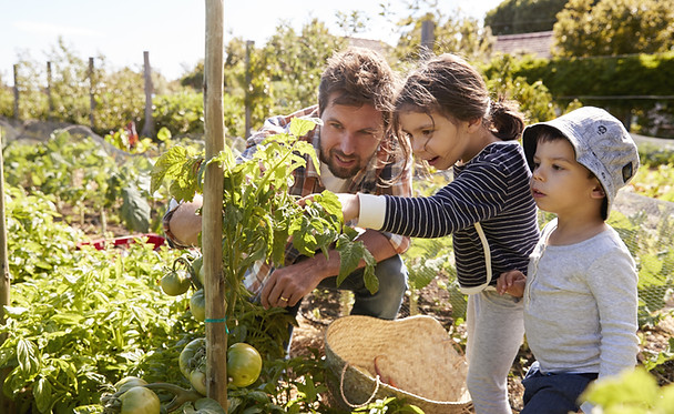 Home Gardening
