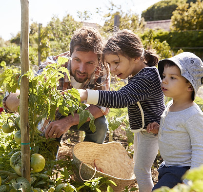 Home Gardening