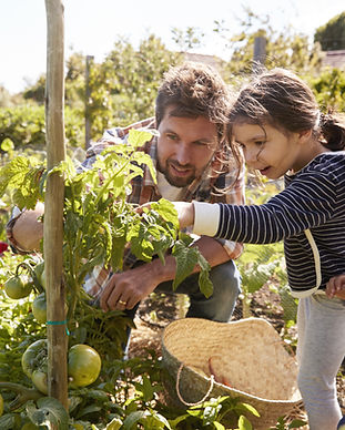 Home Gardening