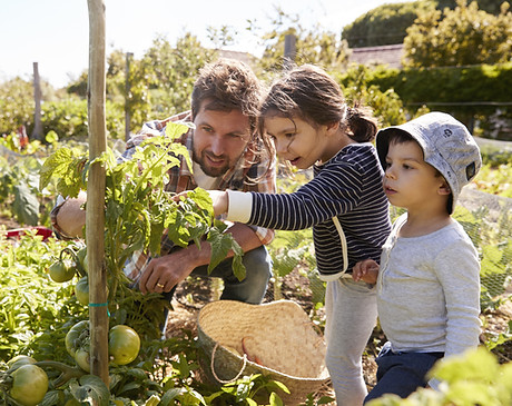 Home Gardening