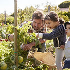 Accueil Jardinage