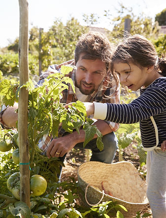 Home Gardening