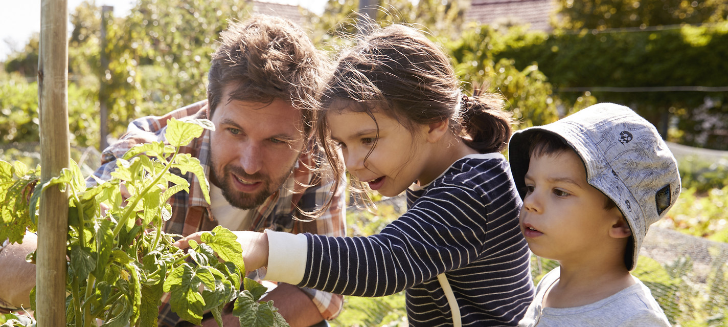Home Gardening
