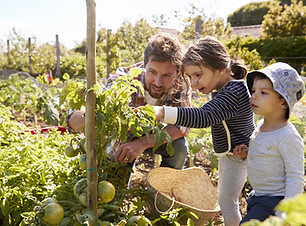 Home Gardening