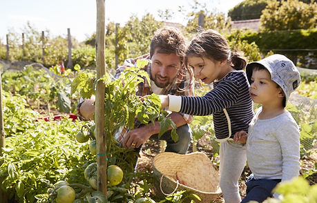Inicio Jardinería