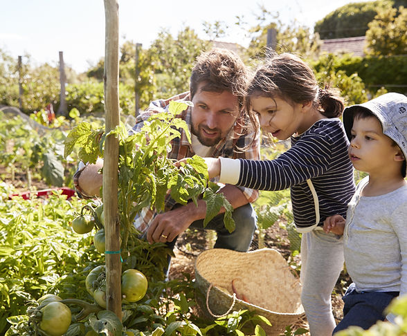 Home Gardening