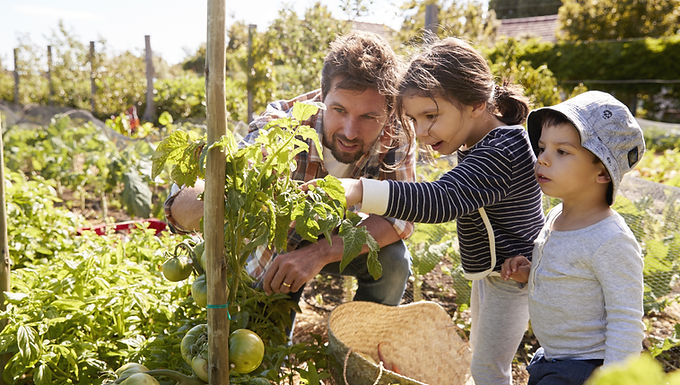 Ecosystem gardening