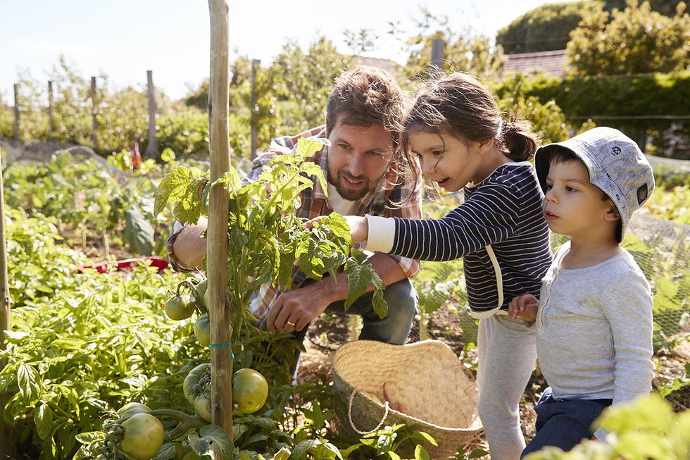 Family Gardening Together