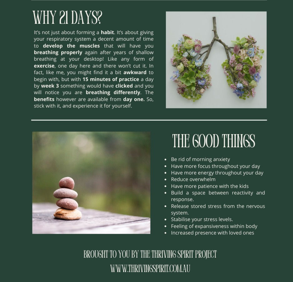 Thumbnail: Guided Practice for Emotional Rebalancing