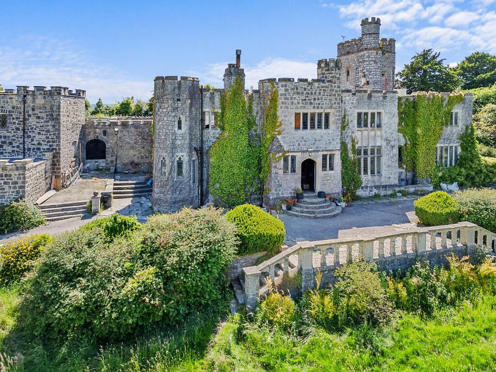 The Vegan Castle 8.jpeg